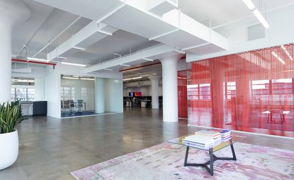 Office design in Brooklyn by Inaba Williams and Kyle May