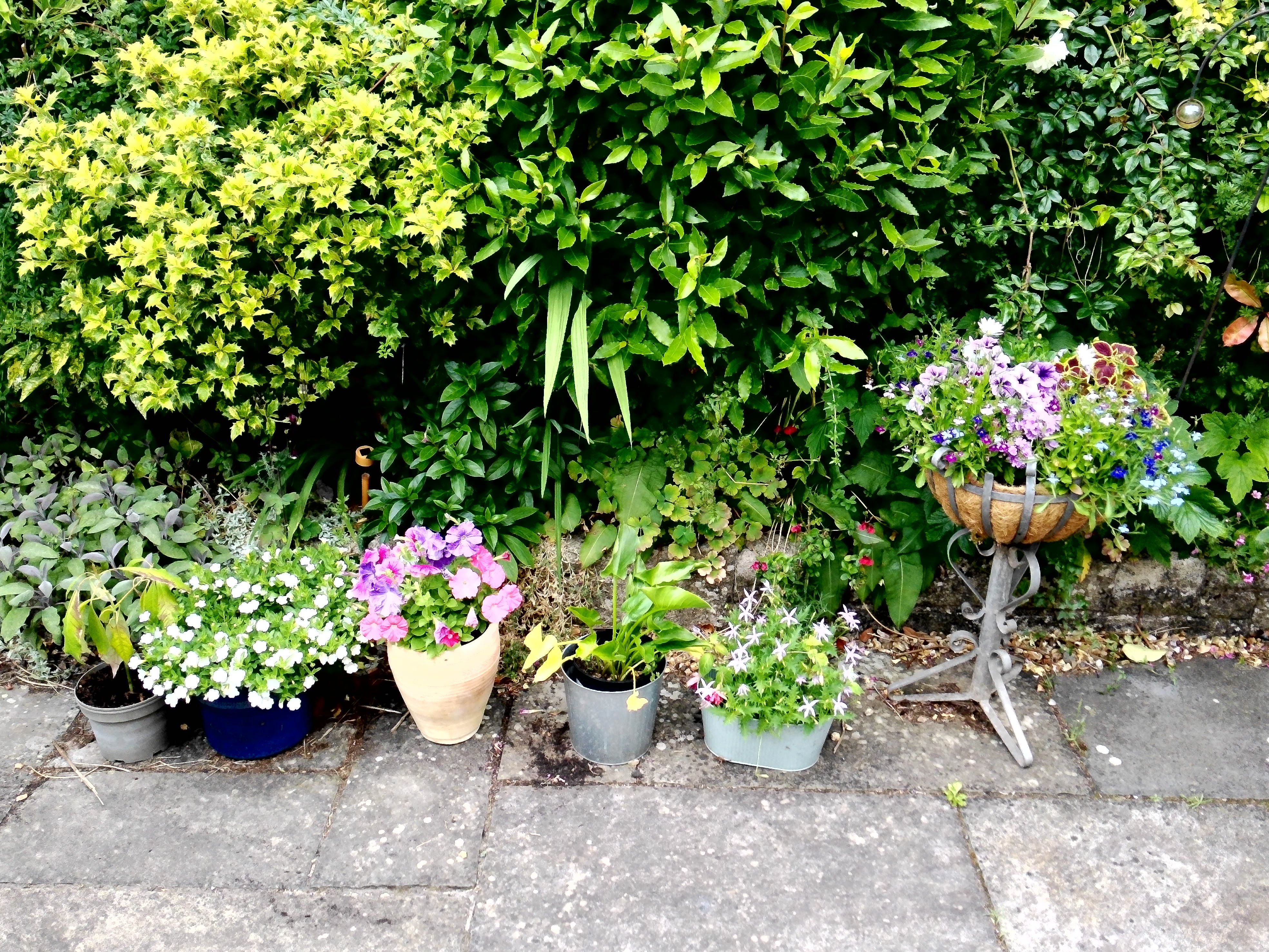 Yashica FX-D 300 example shot - film simulations