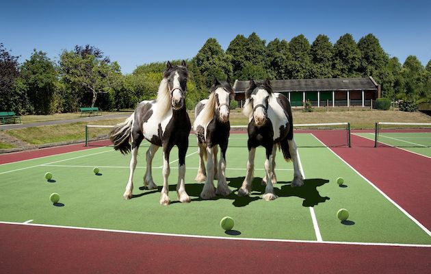 Tennis-ponies-credit-Stoker-Photography2-copy.jpg
