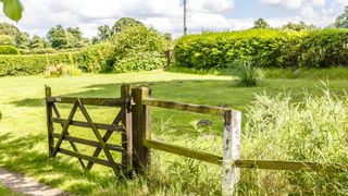 green plot of land with fence and hedges 
