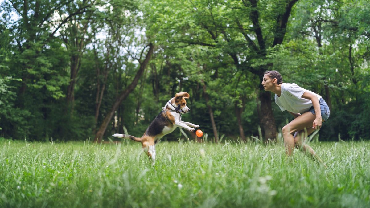 Woman playing with her dog in the park