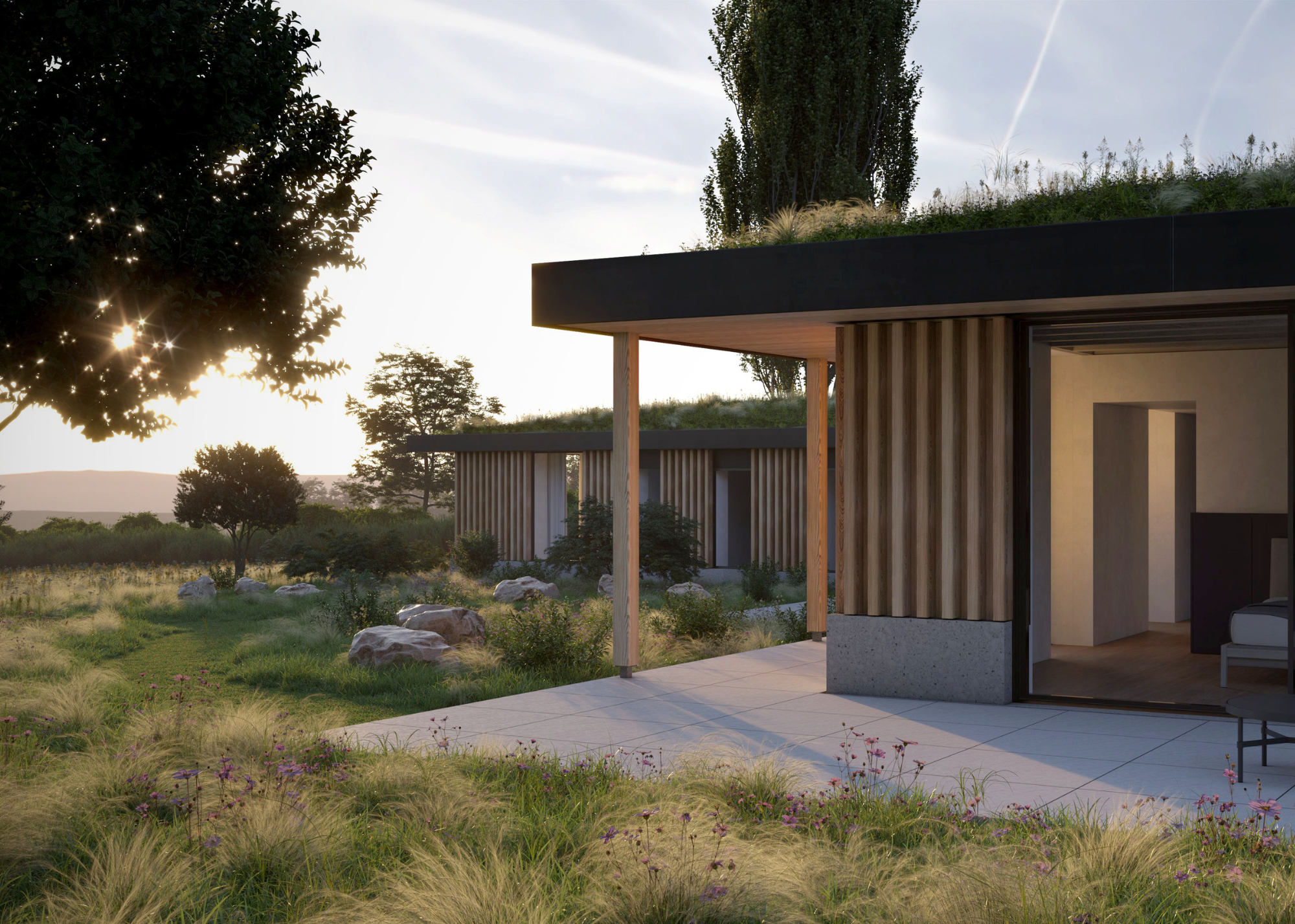 a modern structure with a living roof in a rewilded field full of long grass rocks and trees