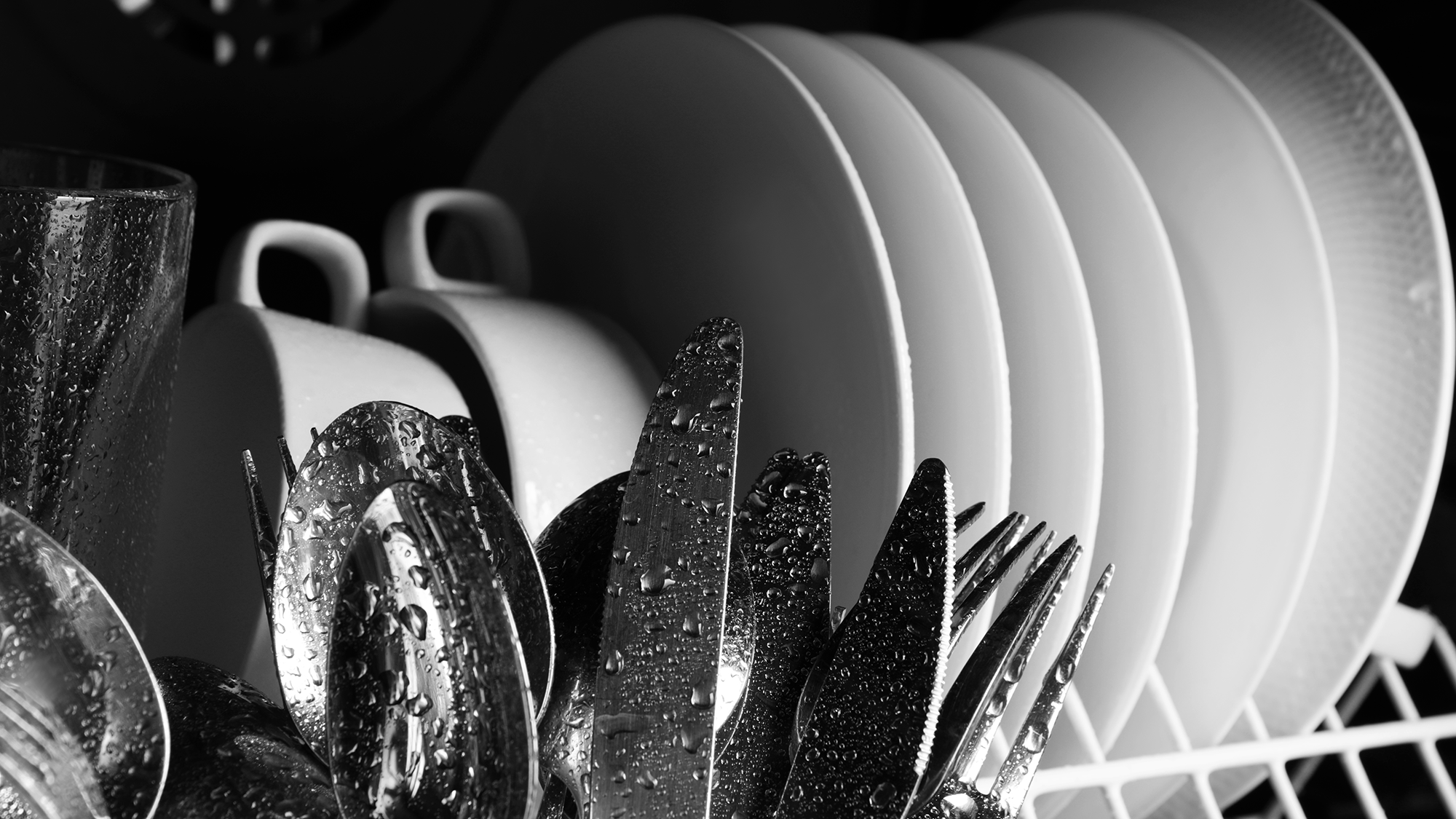 Wet dishes in dishwasher