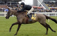 Denman-2b-13-2-161.jpg