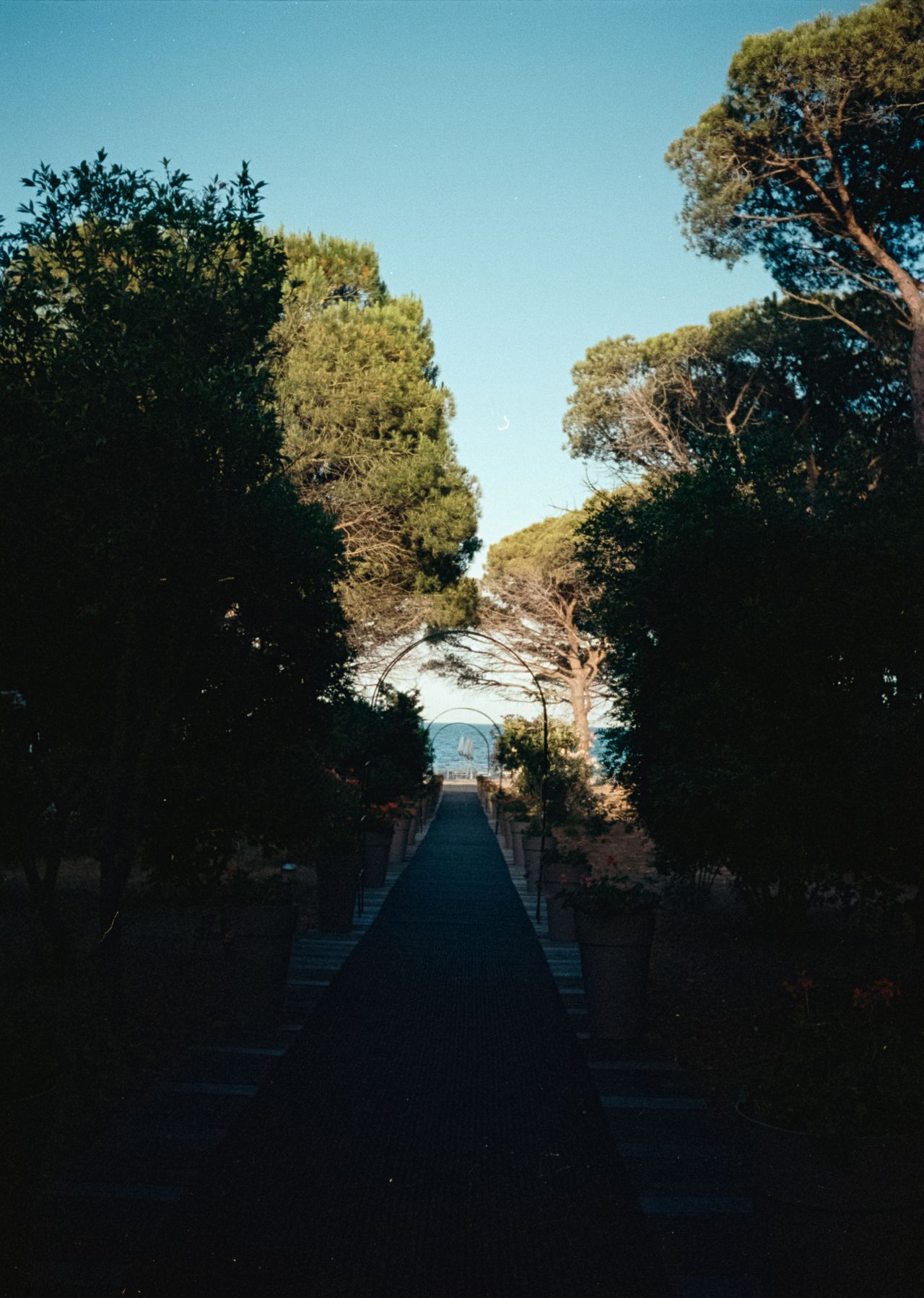 Tree lines path leading down to a beach