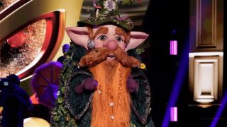 The Gnome from The Masked Singer on Fox