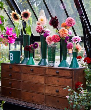 cut flowers on display in Alitex greenhouse styled by Selina Lake