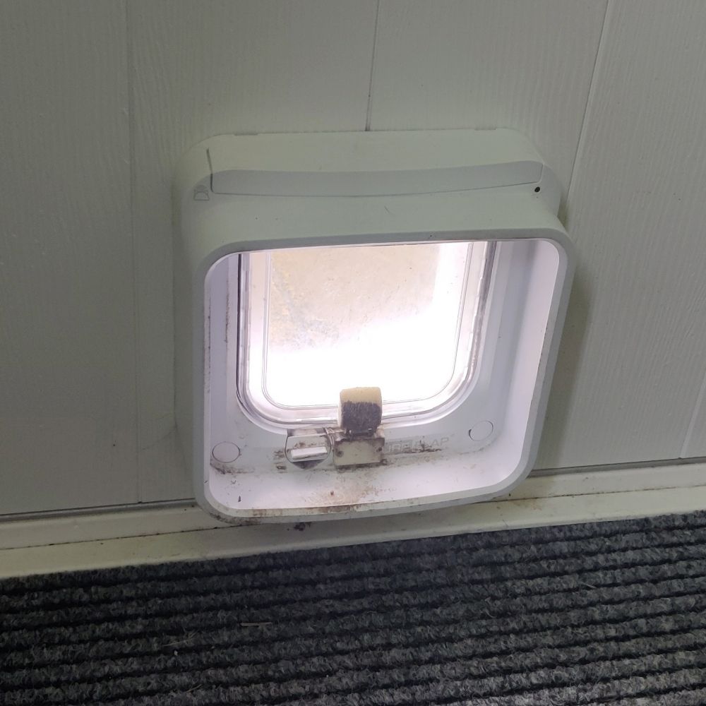 SureFlap Microchip Cat Flap, one of the best microchip cat flaps, on Toby Jackson's wall