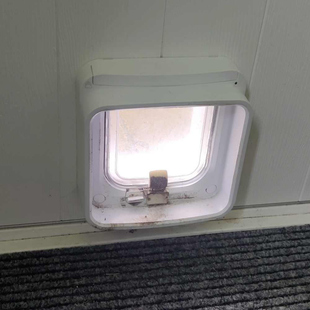 SureFlap Microchip Cat Flap, one of the best microchip cat flaps, on Toby Jackson's wall