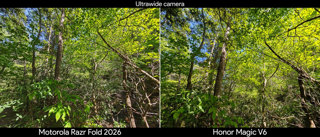 Comparing main and ultrawide camera quality between the Motorola Razr Fold 2026 and Honor Magic V6