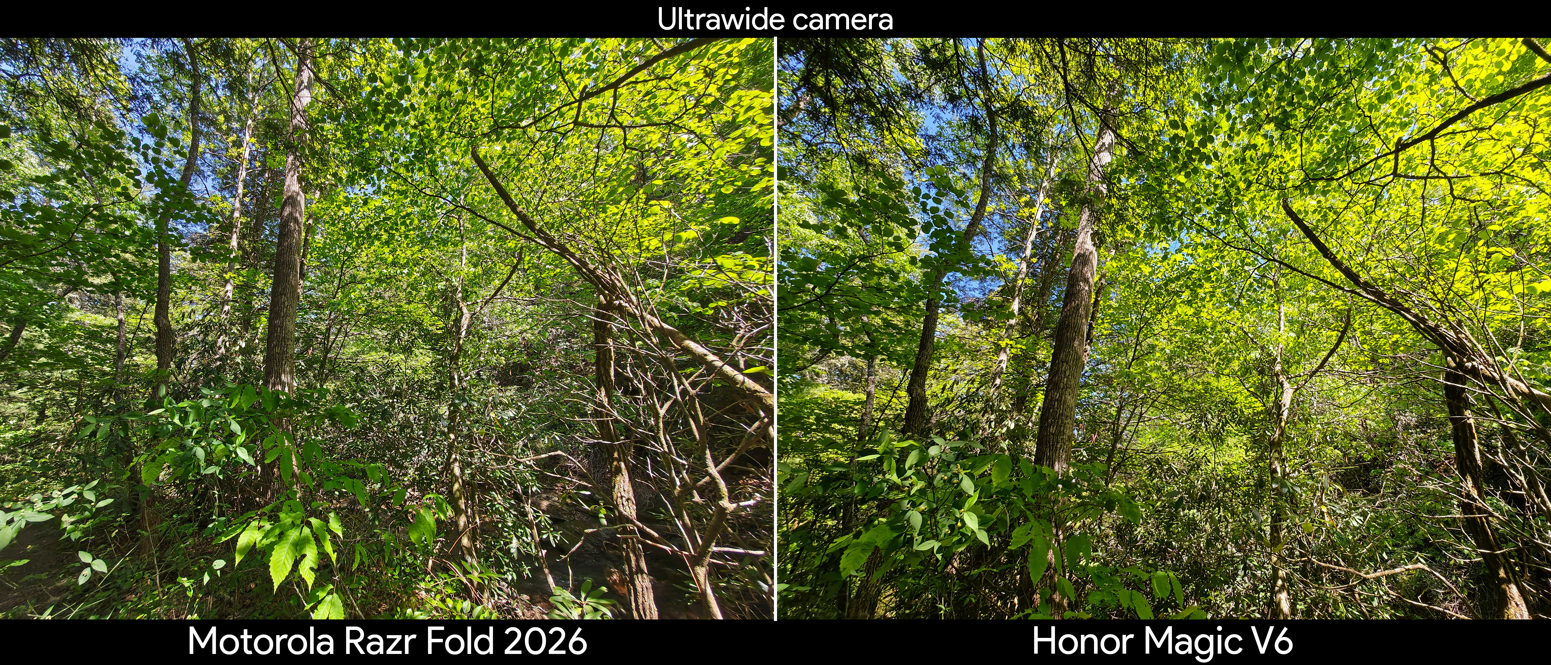 Comparing main and ultrawide camera quality between the Motorola Razr Fold 2026 and Honor Magic V6