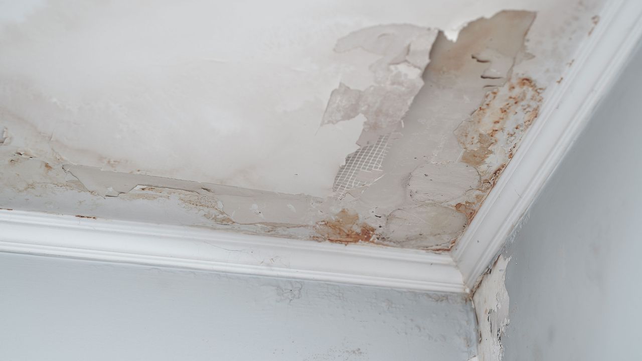 White ceiling with water damage