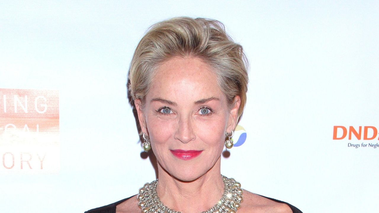 Sharon Stone shared shocking details of her near-death experience on the Late Late Show with James Corden Media Punch/Alamy Live News