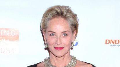 Sharon Stone shared shocking details of her near-death experience on the Late Late Show with James Corden /Media Punch/Alamy Live News