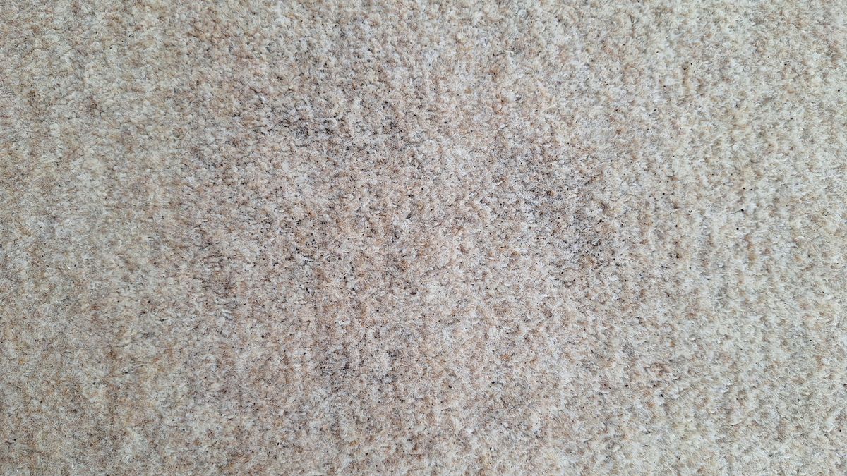 Carpet after several passes &ndash; a light dusting of dry tea on a beige carpet