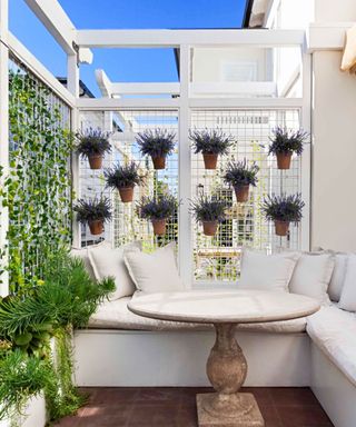 Small patio space with lavender pots and ivy planted up the screen