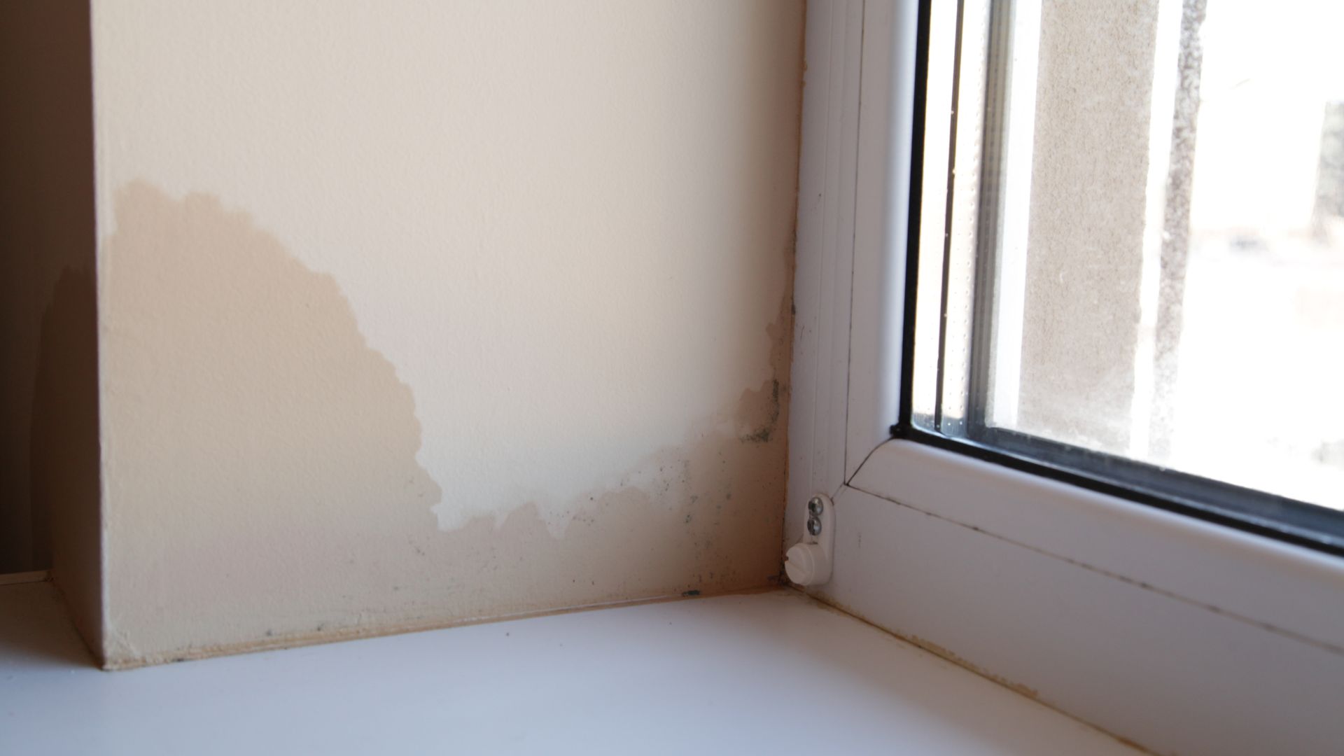 picture of damp in wall coming from window