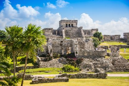 Ancient Mesoamerican cities show signs of democracy.