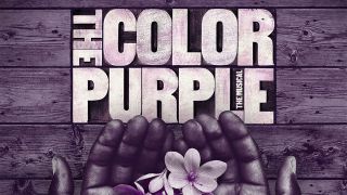 The Color Purple musical key art