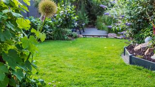 Landscape view of beautiful garden with freshly mowed lawn and flowerbed