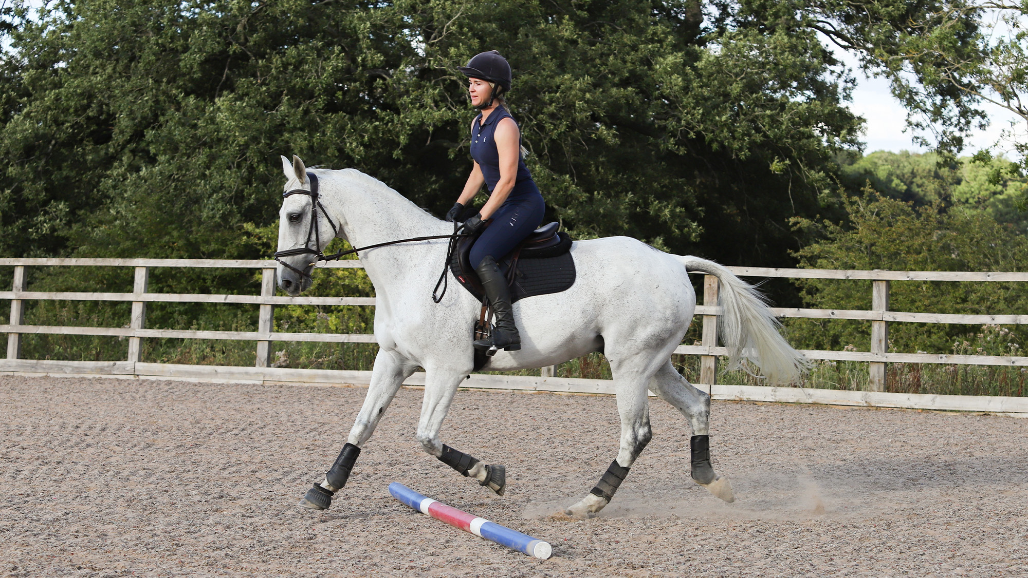 Woman riding grey horse over a single trotting pole
