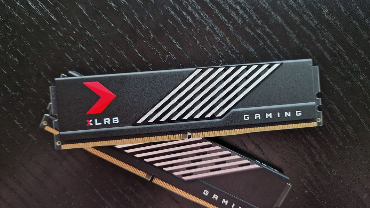 PNY XLR8 DDR5 RAM review image showing both modules up close