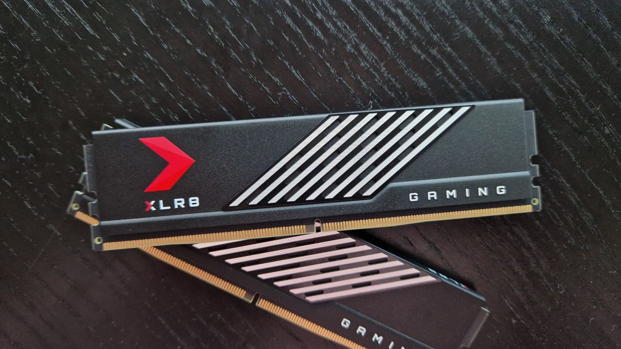PNY XLR8 DDR5 RAM review image showing both modules up close