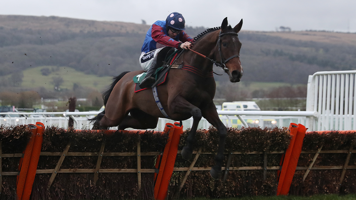 National Hunt horses to follow 2020/21