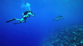 Contestant on Netflix's All the Sharks taking a photo underwater of a shark