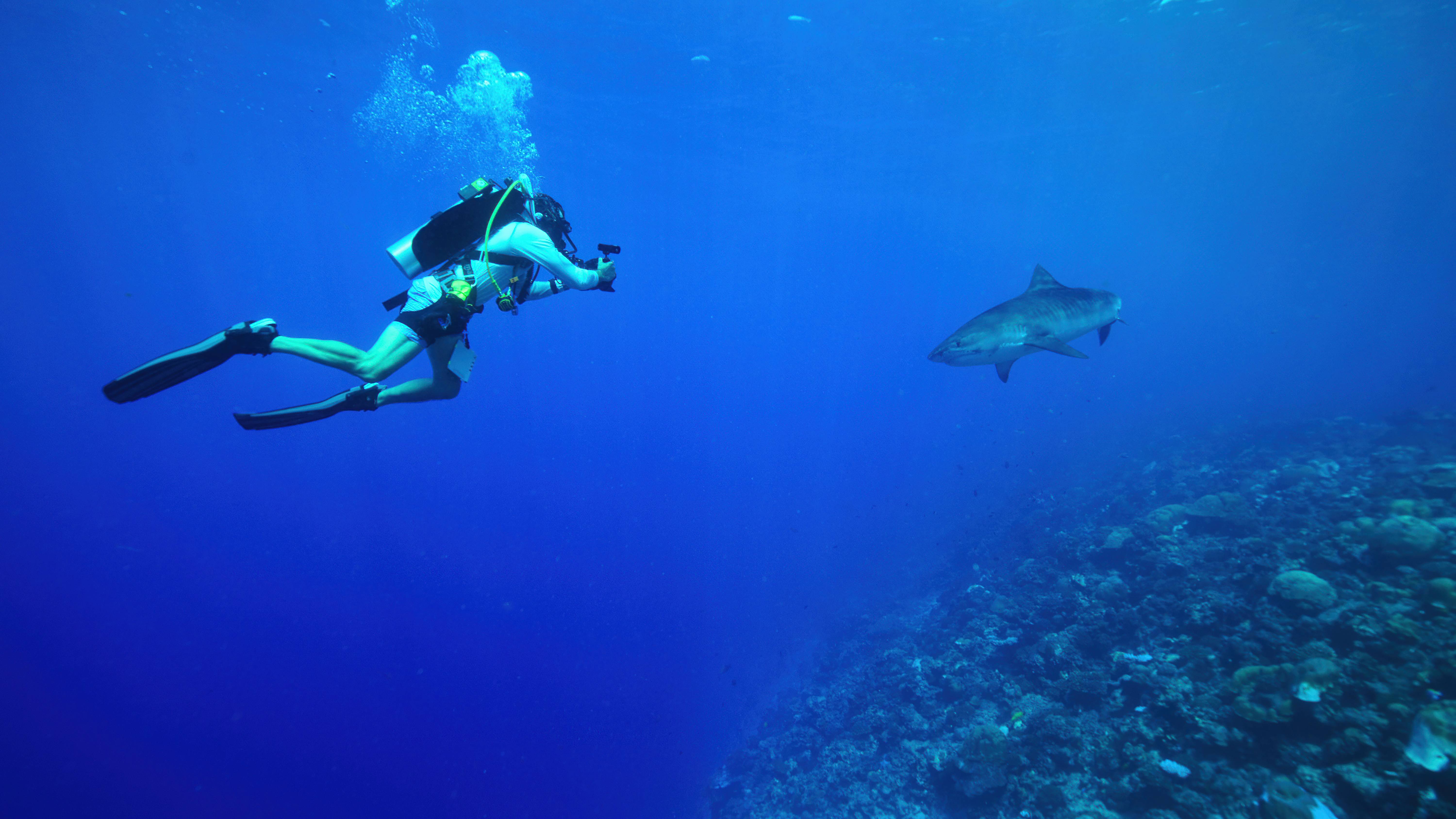 Contestant on Netflix's All the Sharks taking a photo underwater of a shark