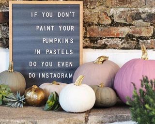 Pastel painted pumpkin decorating idea with letterboard that says: 'If you don't paint your pumpkins in pastels, do you even do Instagram?'