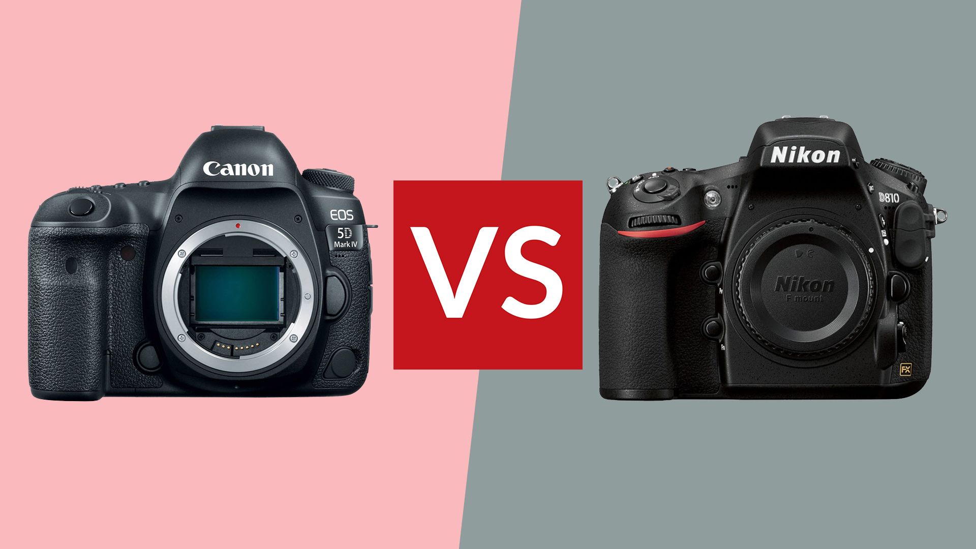 Nikon D850 vs Canon EOS 5D Mark IV: battle of the premium DSLRs | T3