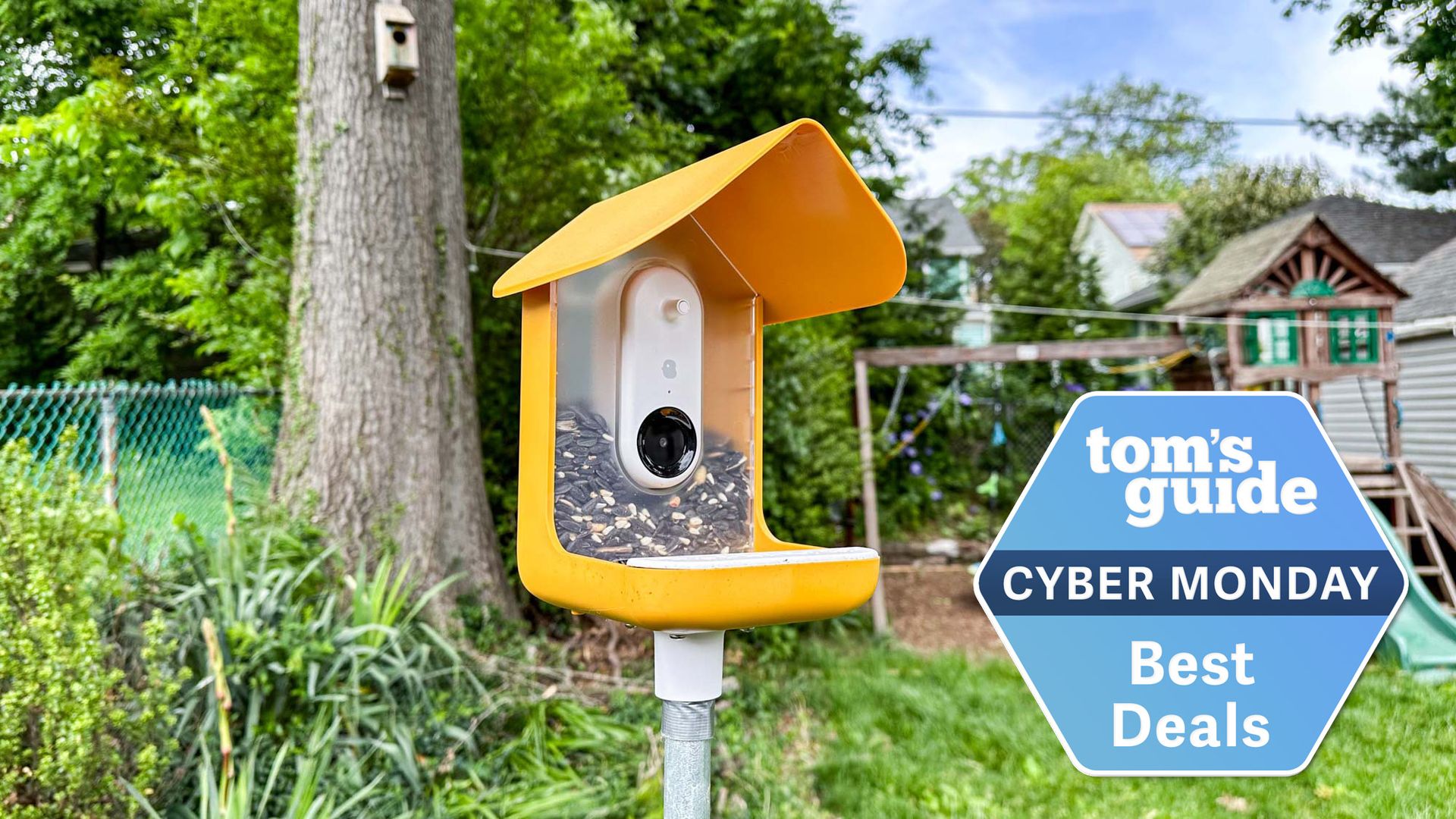 The Bird Buddy is the best smart bird feeder, and it’s 70 off for Cyber Monday Tom's Guide