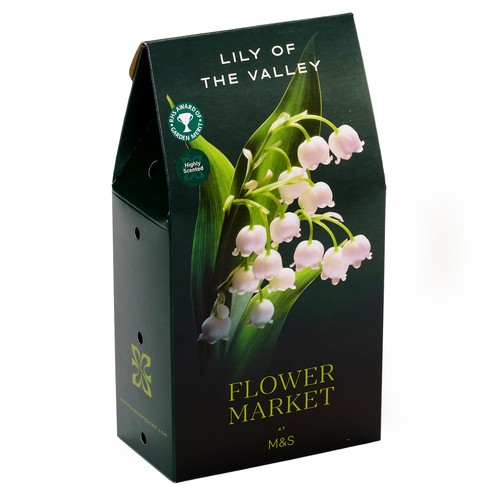 M&amp;amp;s Lily of the Valley Bulbs