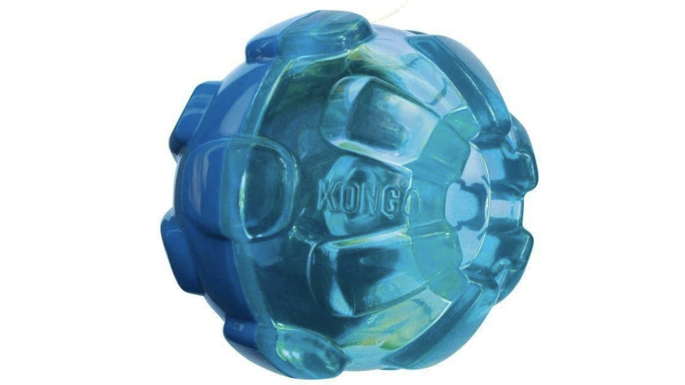 Kong rewards ball