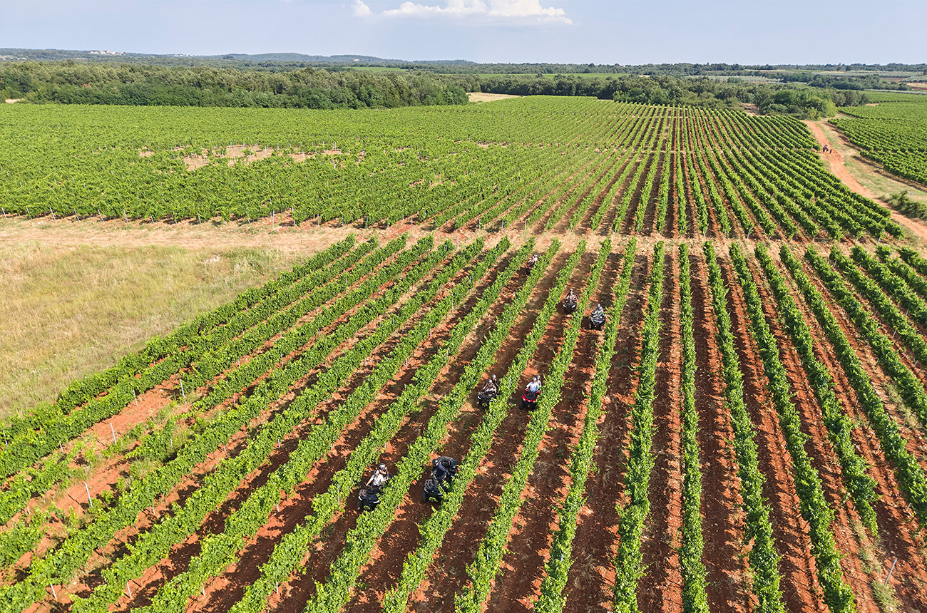 Understanding Istria&amp;rsquo;s soils