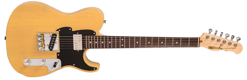 Fret-King electric guitar