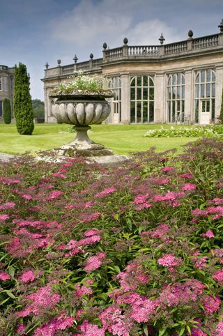 Britain's most romantic places to visit: the gardens at lyme park