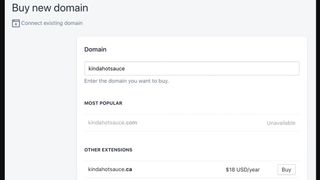 Shopify's domain options