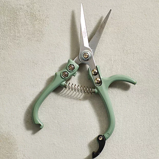 mint green shears