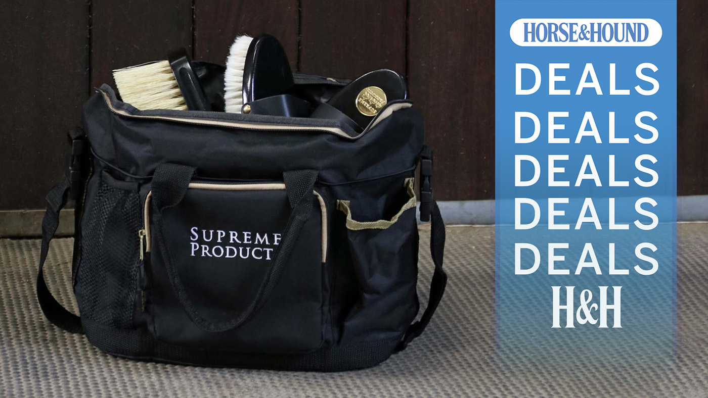 Supreme Products Complete Horse Pro Groom Perfection Set with H&amp;amp;H deals graphic