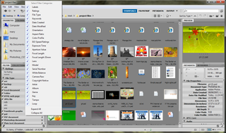 [244455 - Manage Files In Bridge] As well as the separate Bridge app, which lets you preview files you’re working with, CS5 has a mini version of Bridge you can see as a pane.
