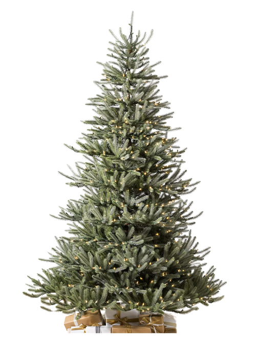 Balsam Hill &reg; Pre-Lit Sanibel Spruce Tree