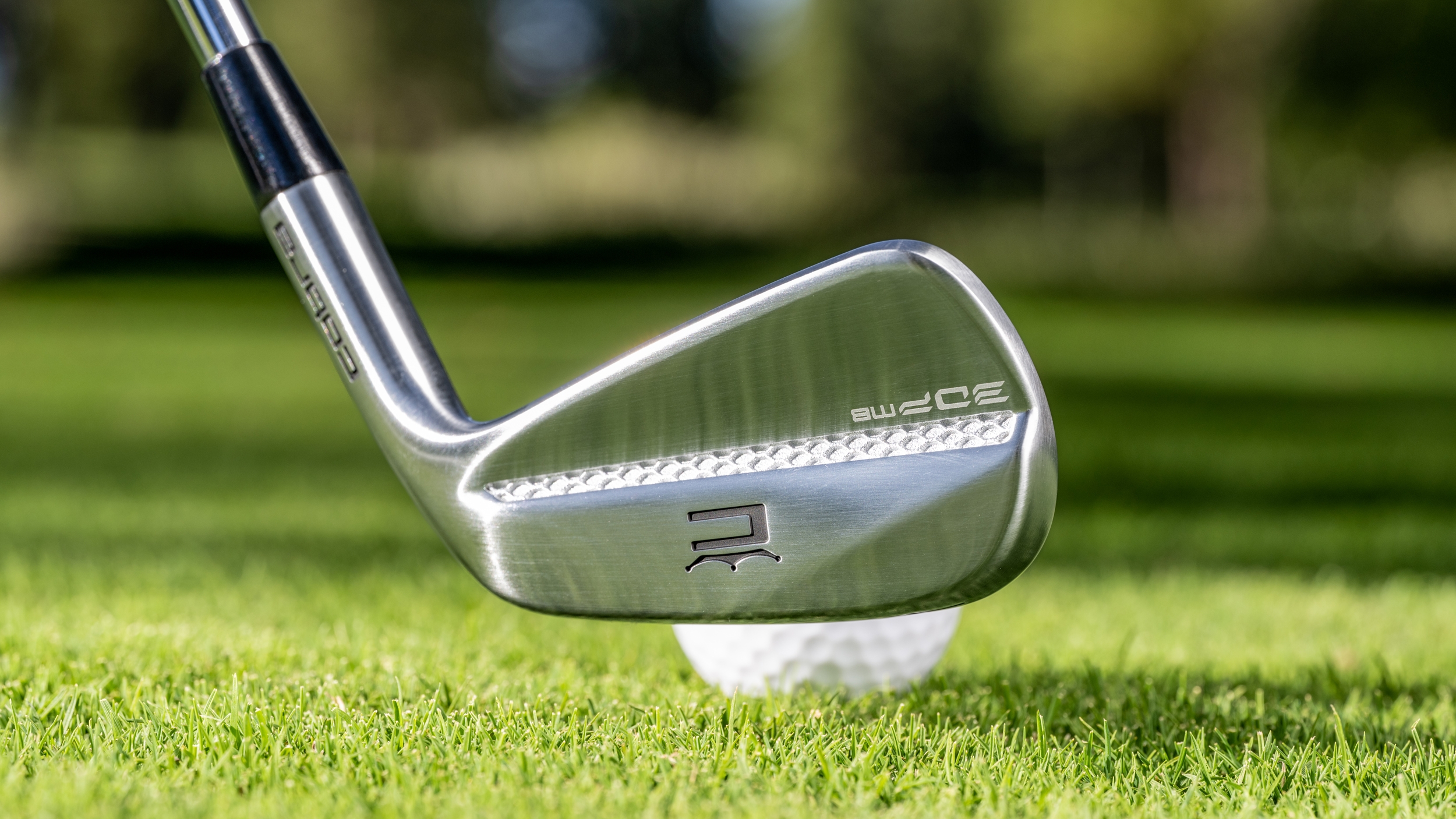 Cobra 3DP irons 2026