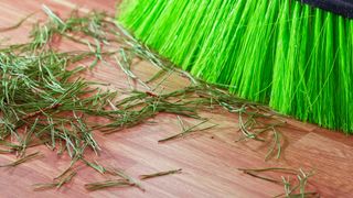 picture of a tree needles being brushed up on the floor