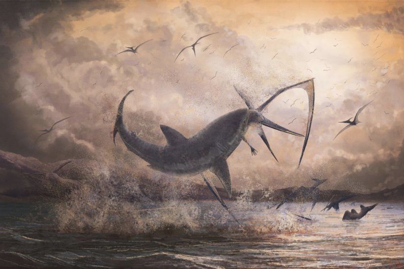 Fossil evidence paints a paleontological scene of a battle between a shark and a flying reptile called a pteranodon.