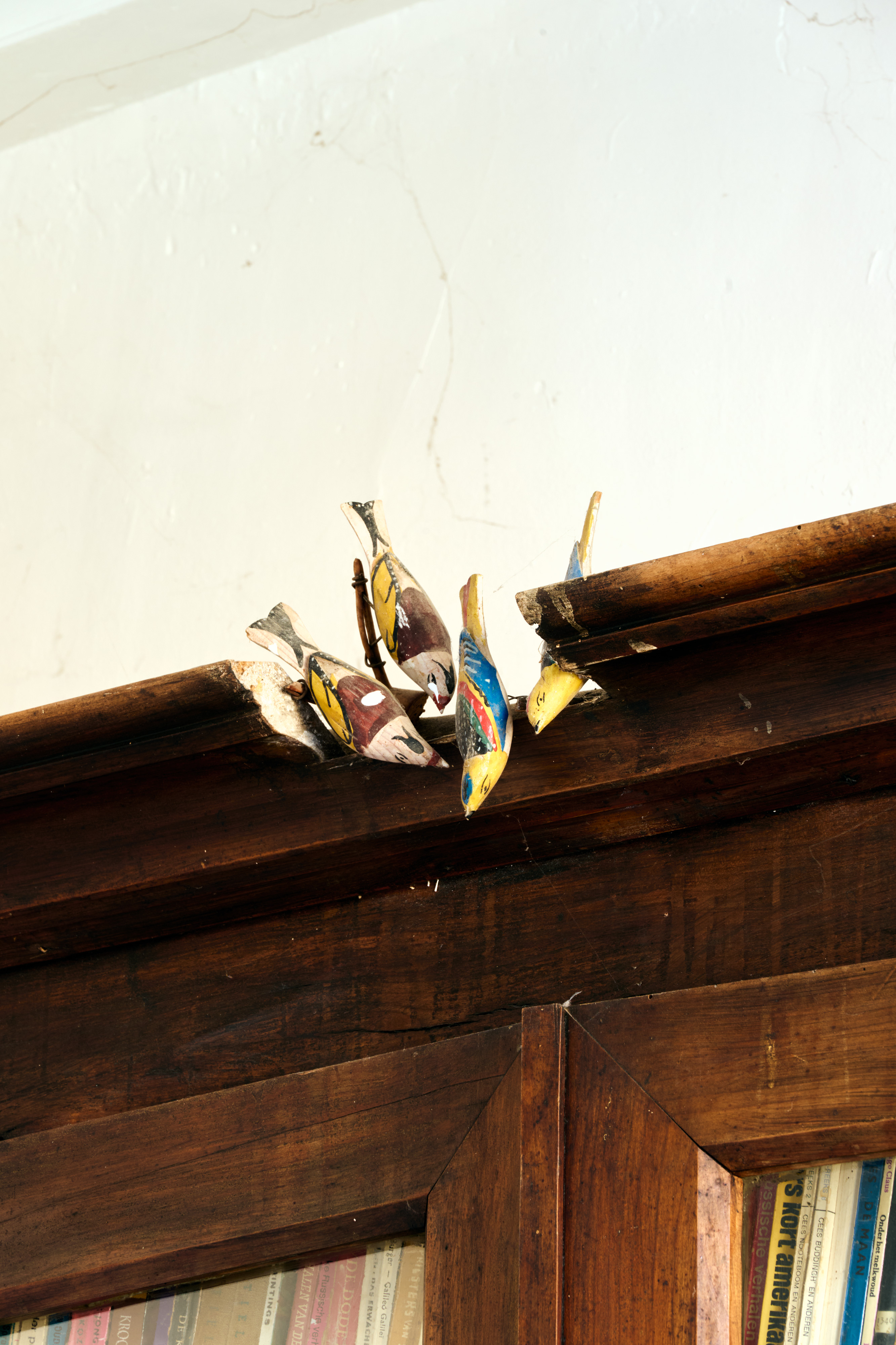 Frans Dijkmeijer Home