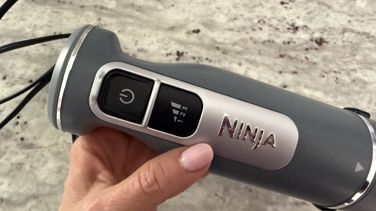Ninja Power Duo Immersion Blender with Whisk
