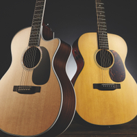 Purchase any Martin instrument and get three months of free TrueFire lessons