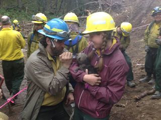 Medics give a drink to a thirsty wolf pup rescued near the Funny River Fire.
